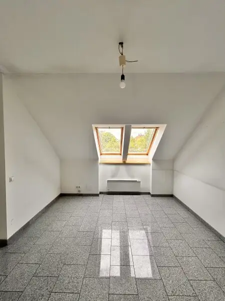 Geräumige Wohnung mit 7 Zimmern, Garten und 2 Stellplätzen bietet Platz zur Entfaltung