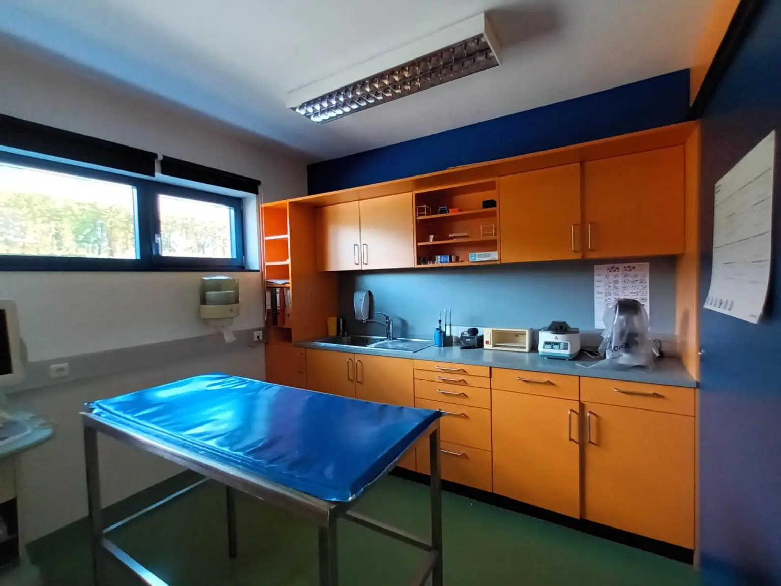 89,5 m² Tierarztpraxis, Ordination in Mürzhofen – sofort verfügbar