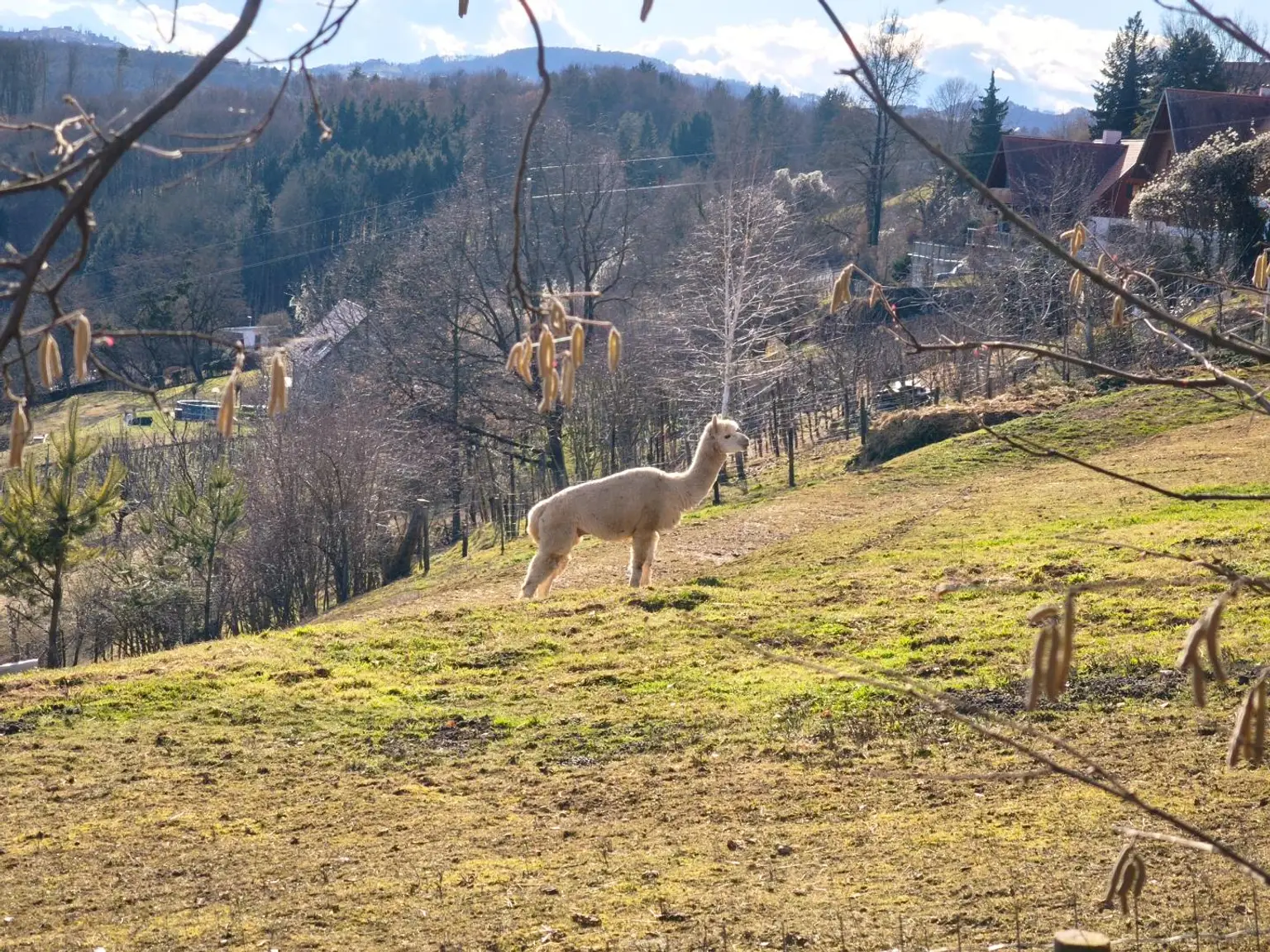 Bild der Nachbarschaft