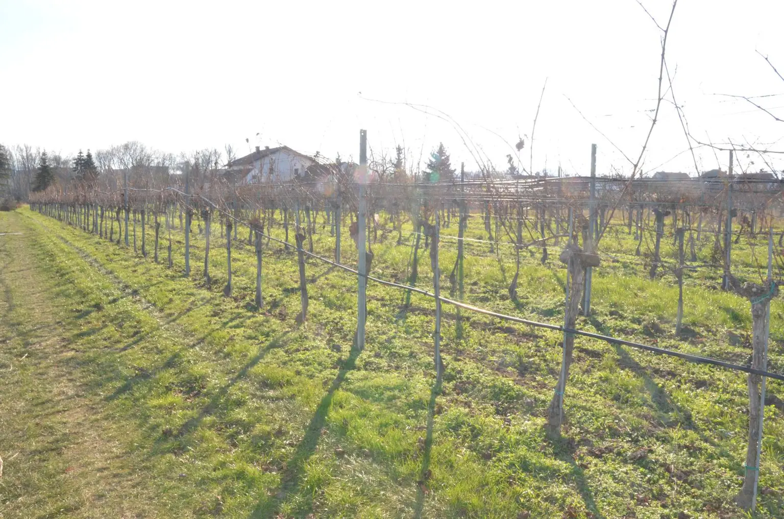 Grundstück Ansicht 4