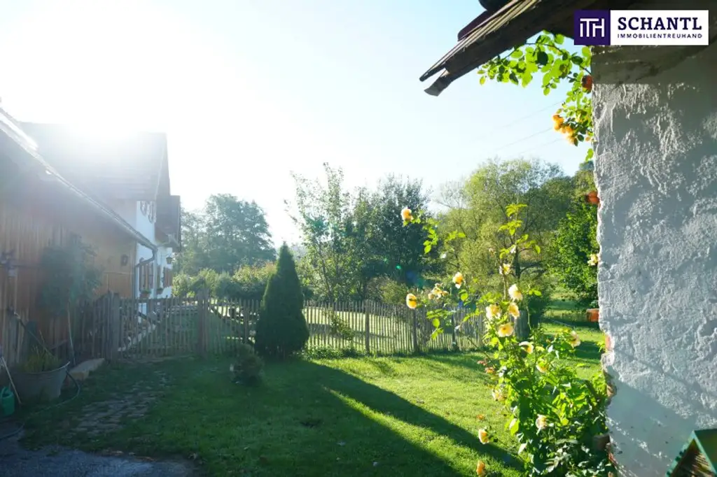 SENSATIONELLES JUWEL! Exklusiver Vierkanthof im Thermenland Steiermark – Wohnen, Reiten & Leben mit Pool und Natur!