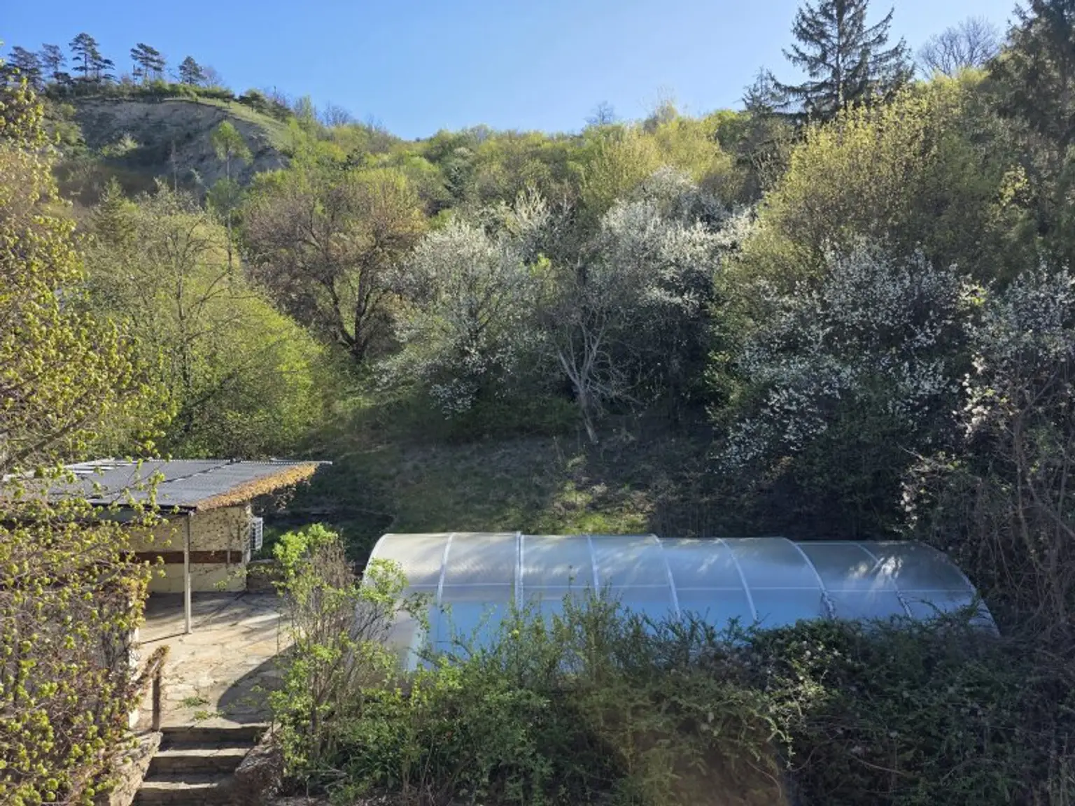 NEUER PREIS: 1875 m² großes GRUNDSTÜCK - DIREKT am Fuße des BISAMBERG - WESTAUSRICHTUNG