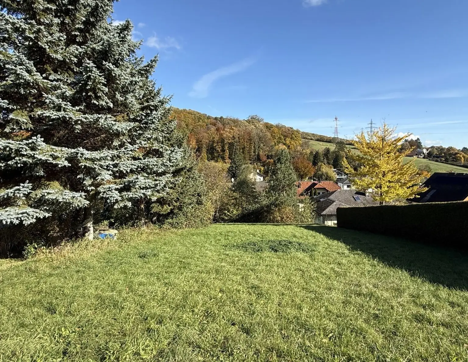 Wo der Morgen nach Wald duftet!