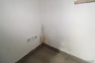 Wand Wohnzimmer EG