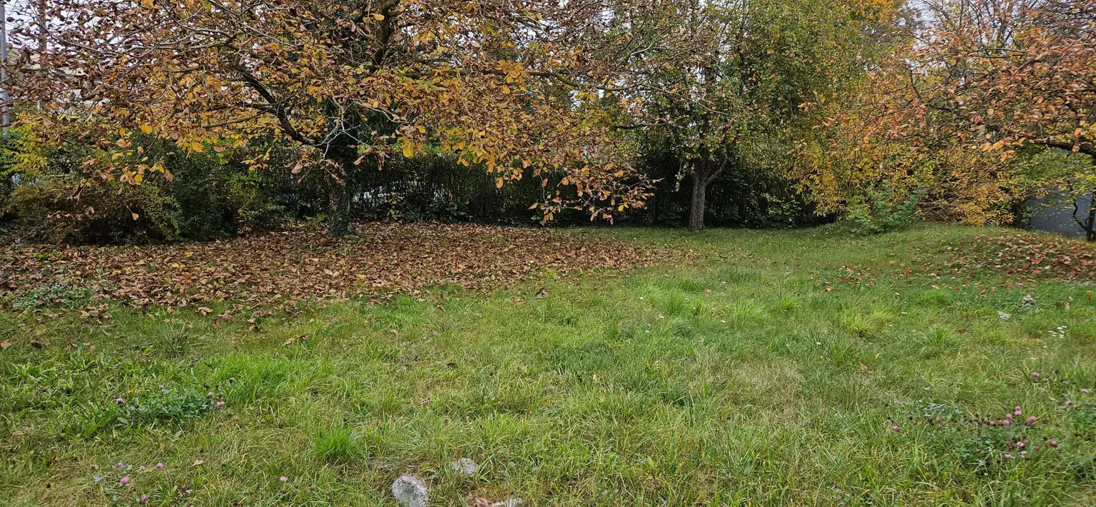 Grundstück