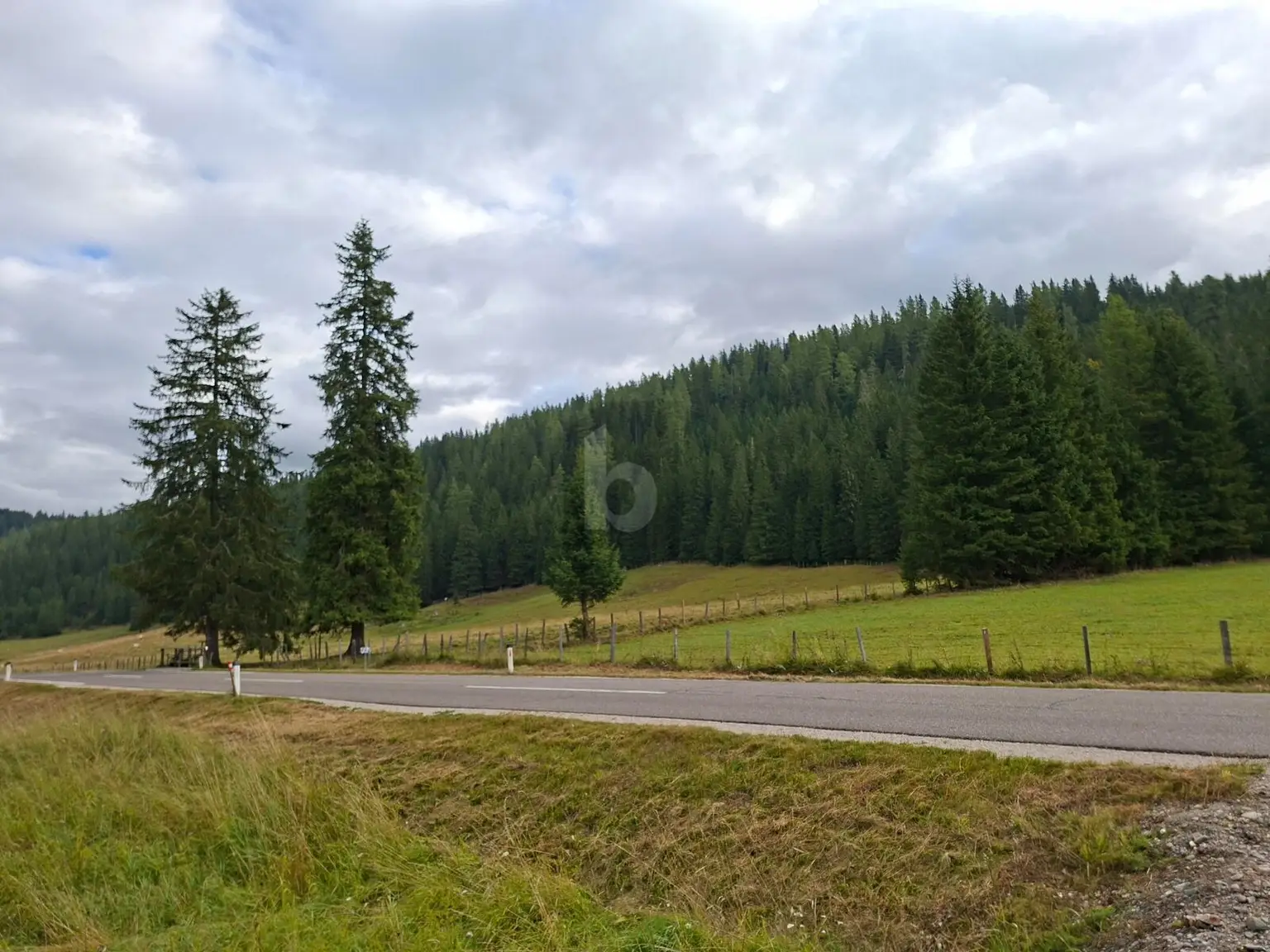 FERN VON DER HEKTIK  AUF DER FLATTNITZ
