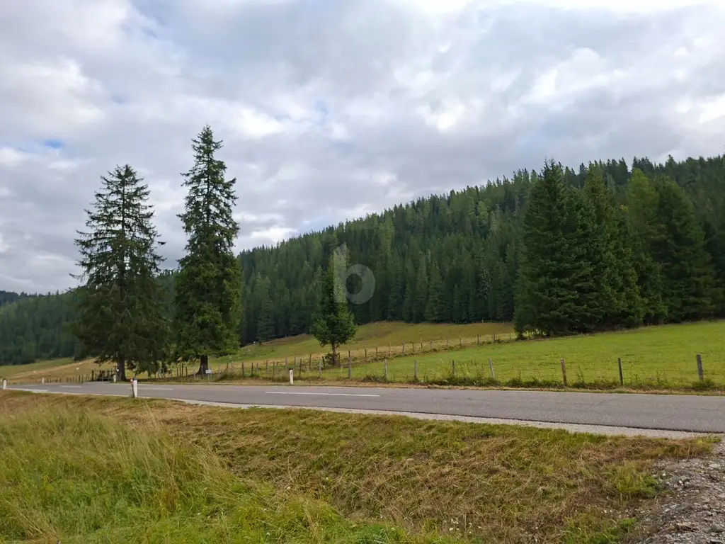 FERN VON DER HEKTIK  AUF DER FLATTNITZ