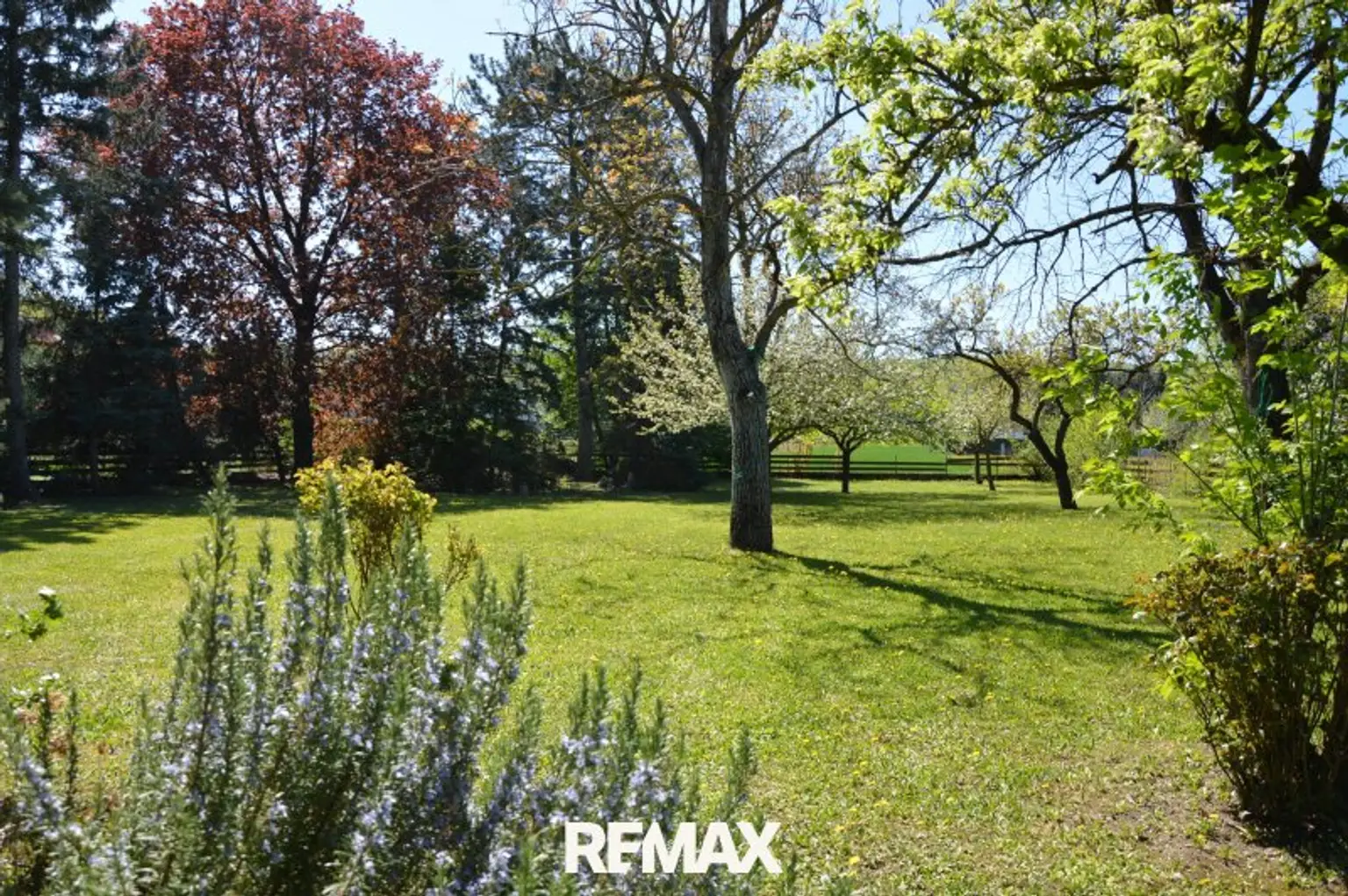weitläufiger Garten - Bauland