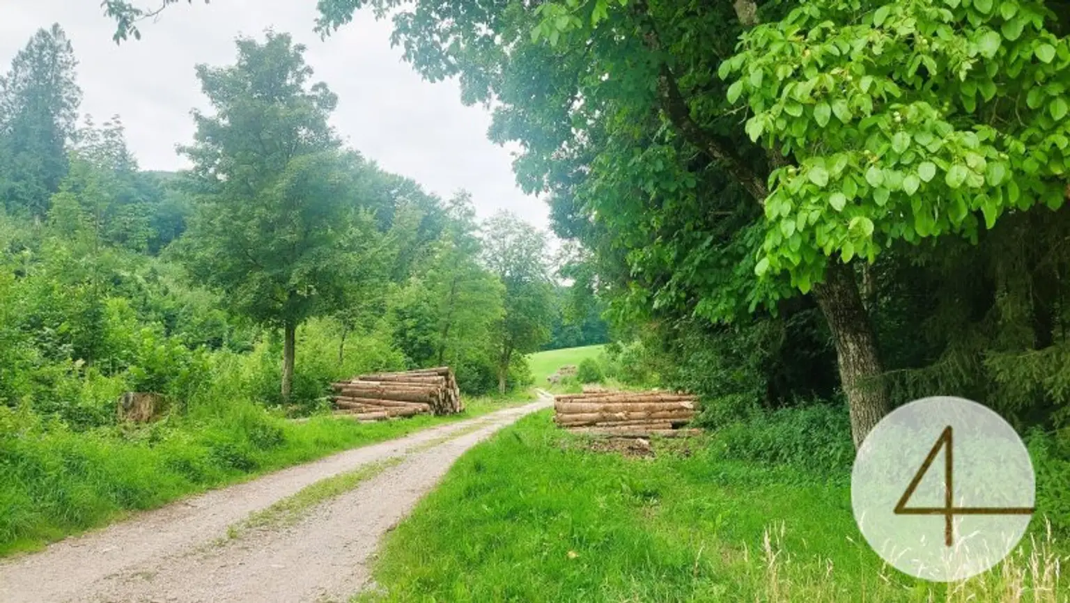Machen Sie Ihren Alltag zum Urlaub - Wohnung!