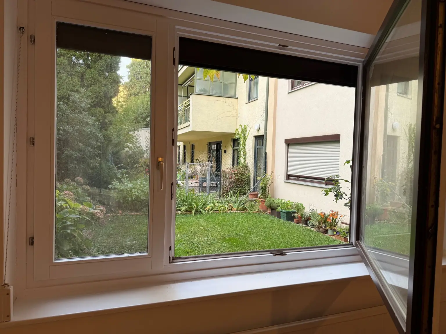 Blick in Garten I