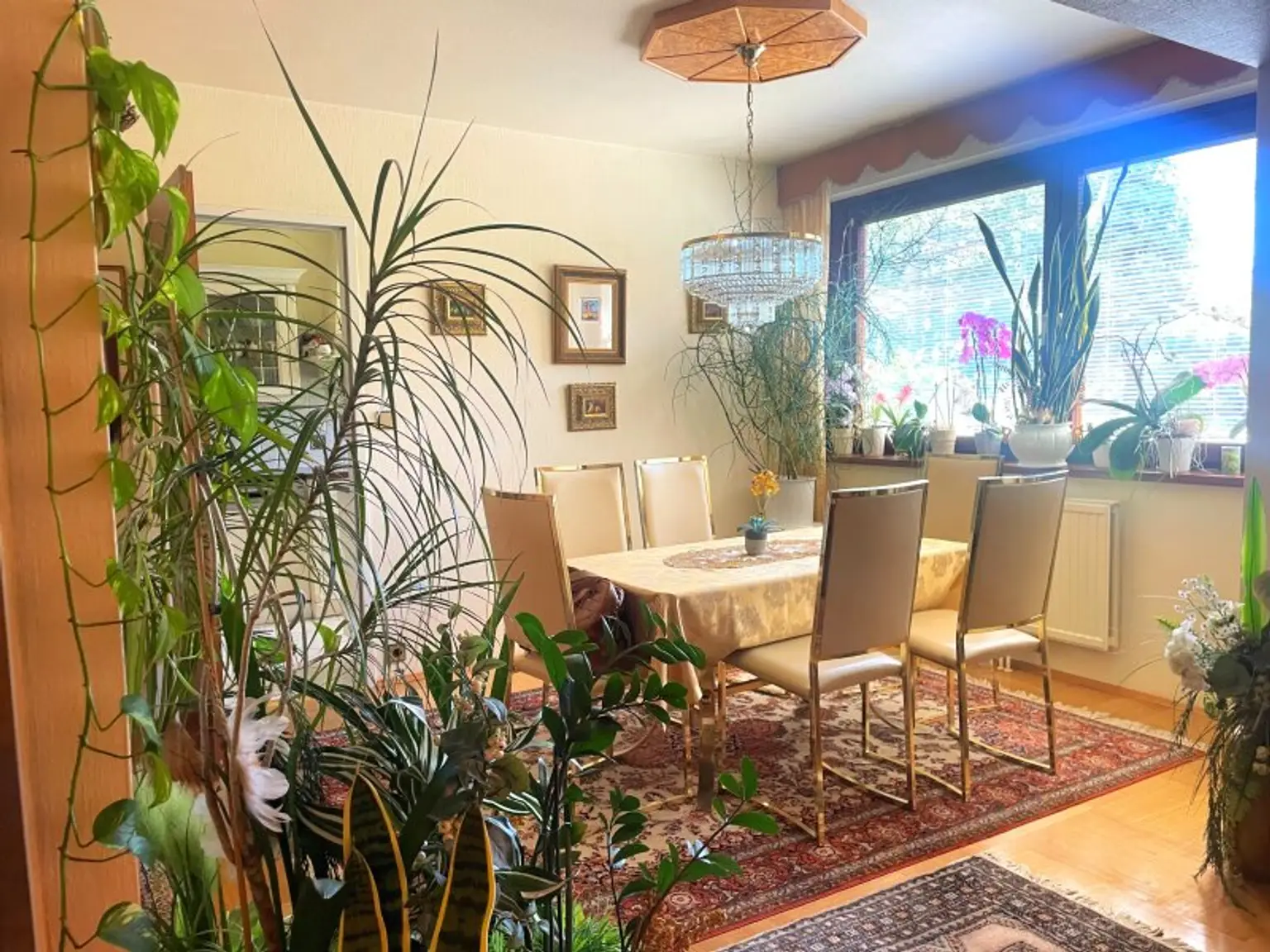 Neuwaldegger Terrassenwohnung mit Pool und Sauna Zugang