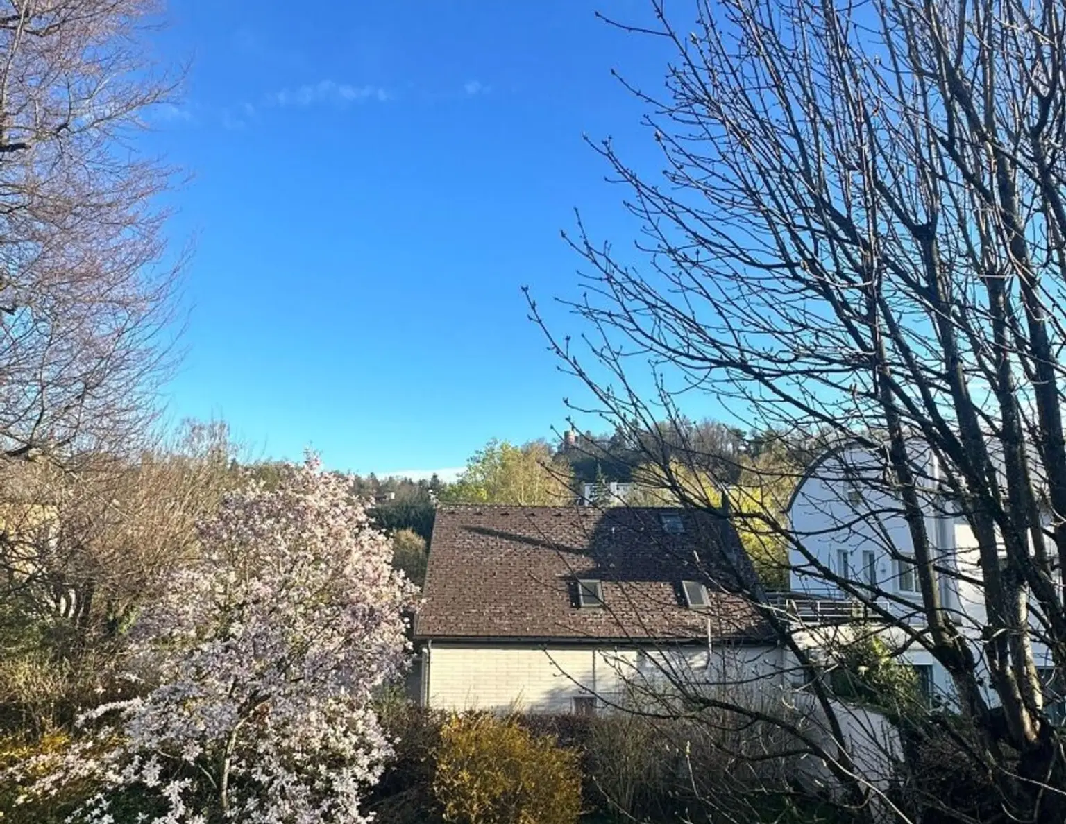 BAUTRÄGERGRUNDSTÜCK in absoluter ZENTRUMSLAGE - REVITALISIERUNG als auch NEUBAU möglich