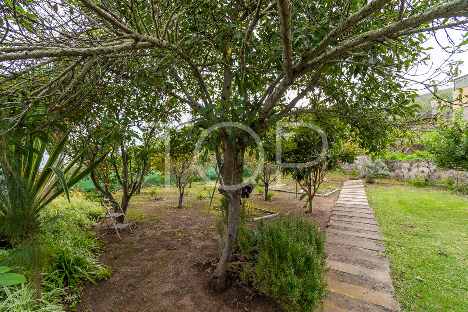 Haus-Icod-de-Los-Vinos-xxx-Teneriffa-35