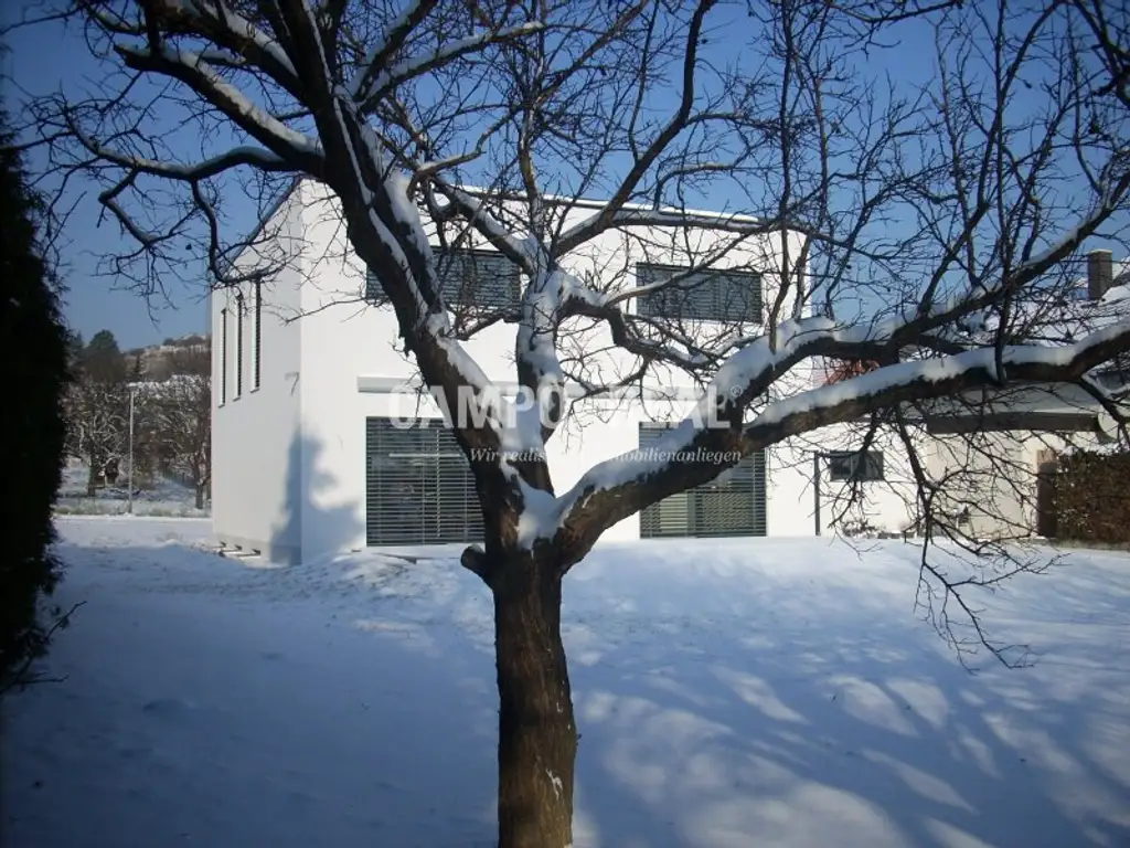 CAMPO-STADTHAUS: Modernes Architektenhaus
