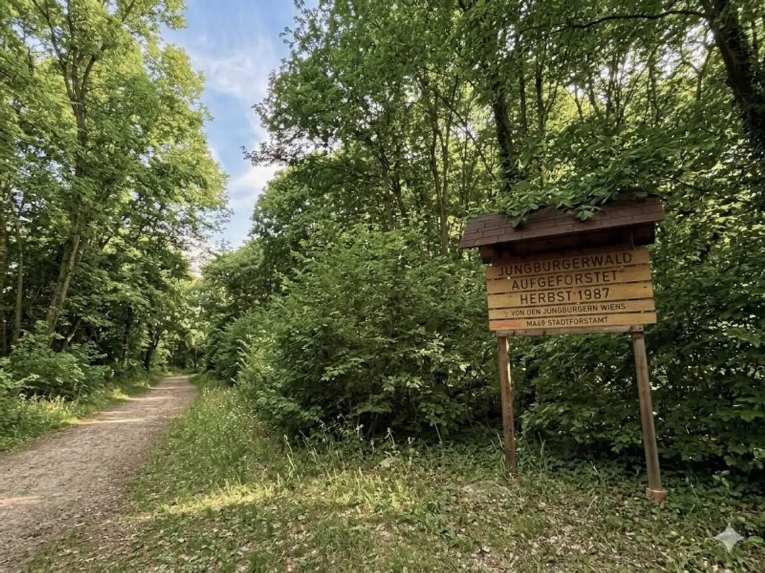 Wald Himmelteich bearbeitet