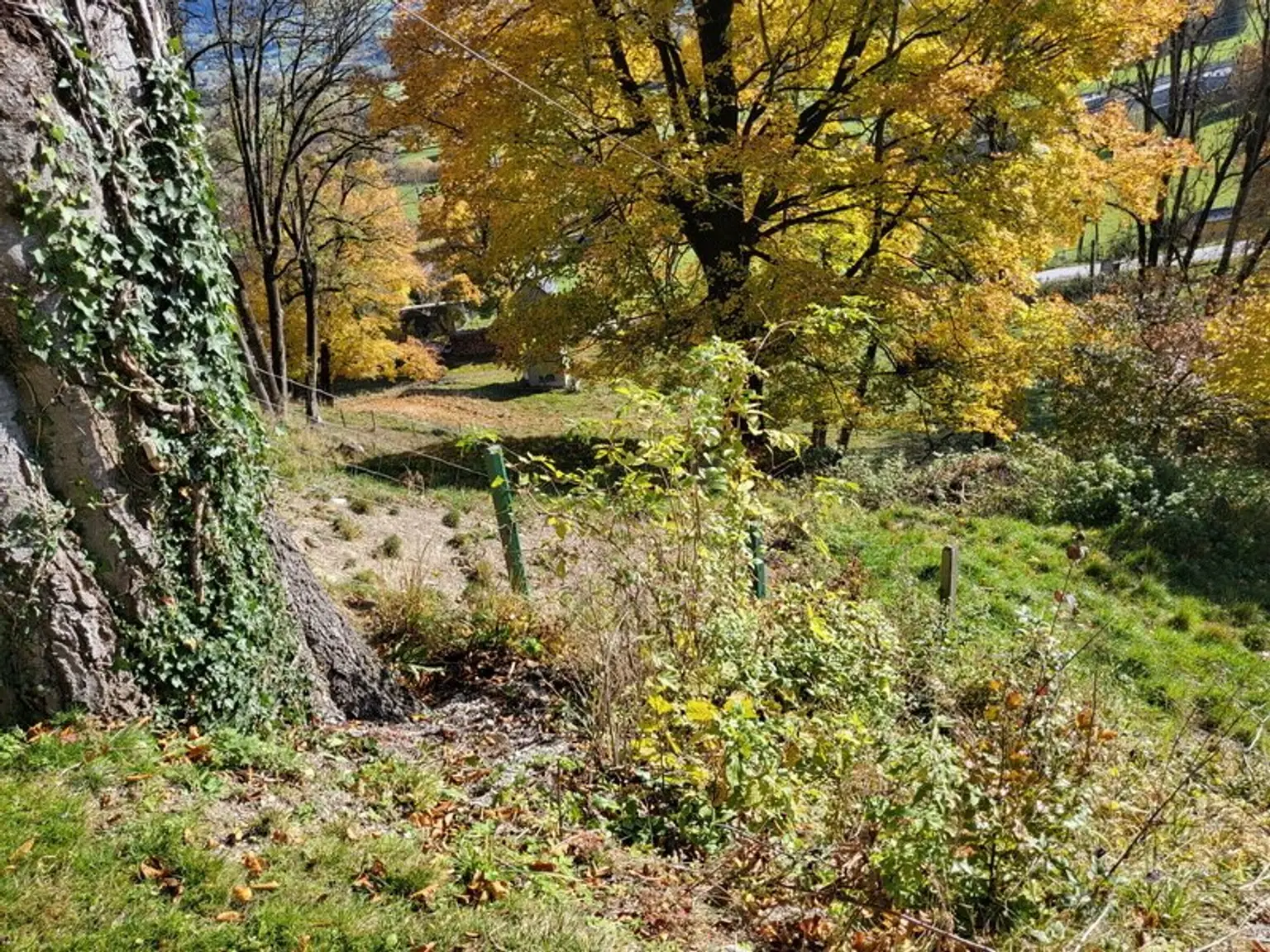 Renaissance-Schloss auf 15 ha Grund – seltene Gelegenheit für touristische Nutzung oder Family Office