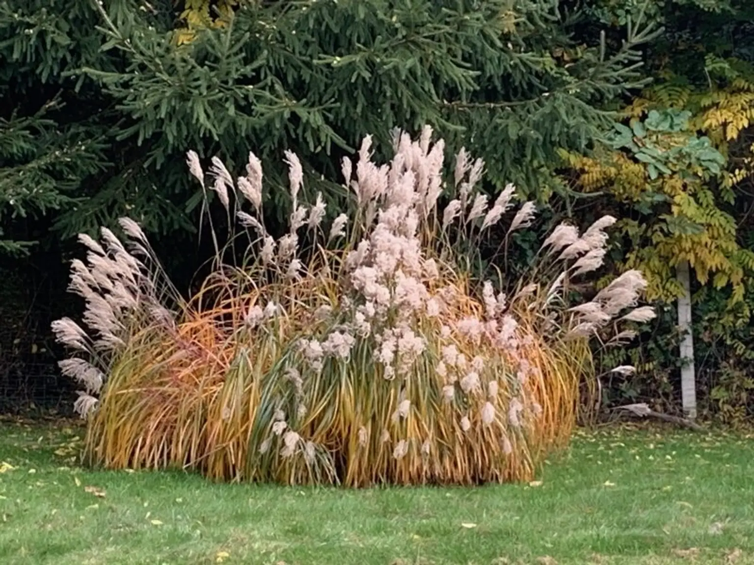 Landhaus in Alleinlage