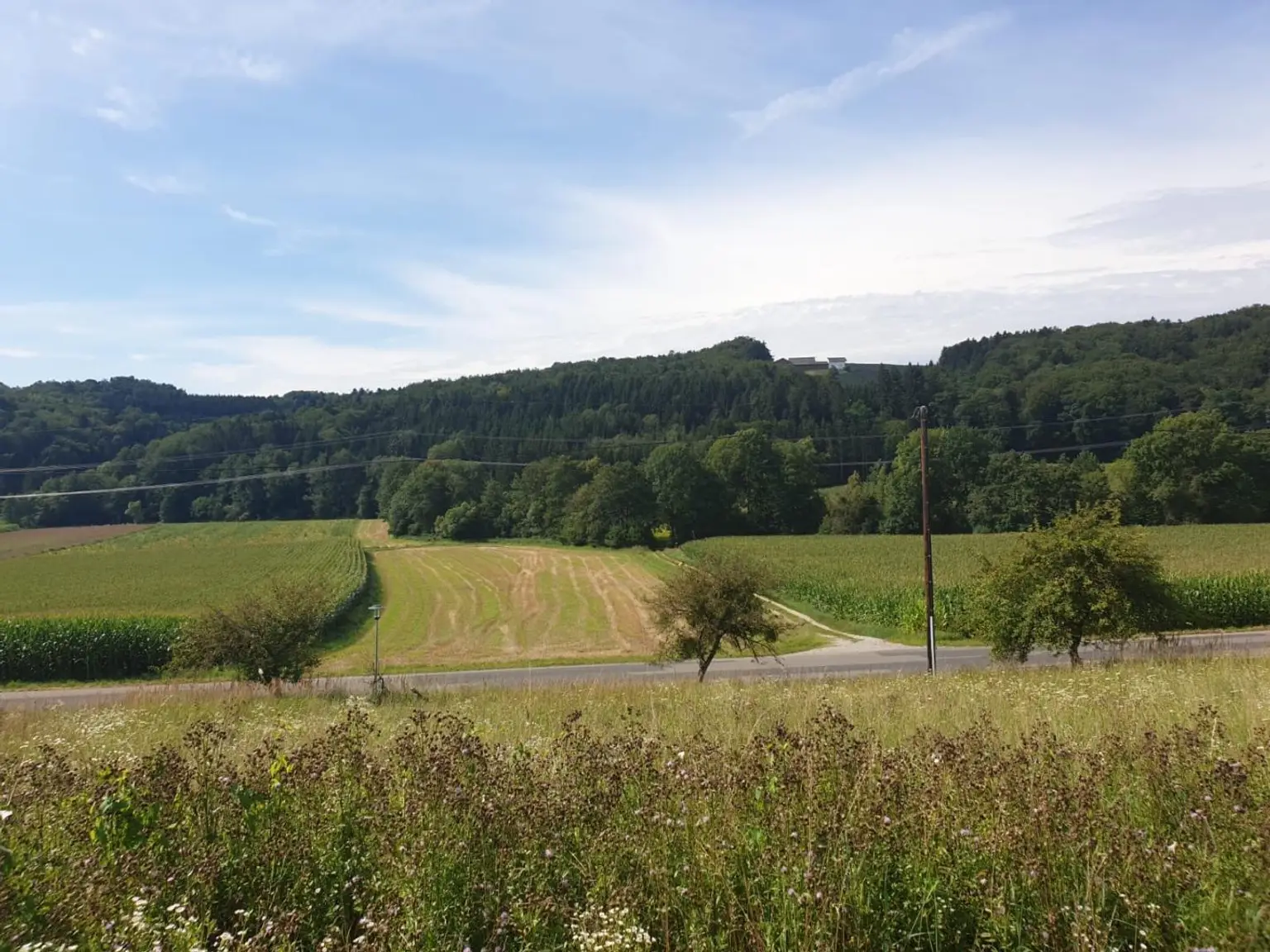 Grundstück