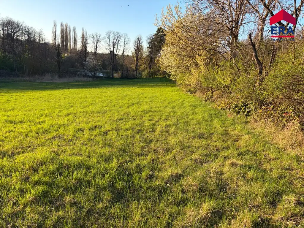 Exklusives Freizeitgrundstück in absoluter Grünruhelage – Natur, Weite & vielfältiges Potenzial in Gaweinstal