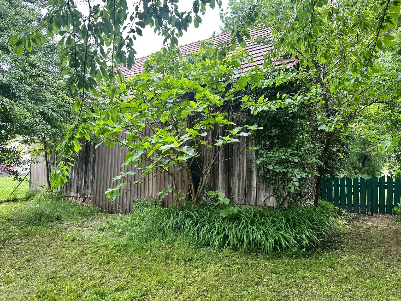 Grundstück mit Altbestand