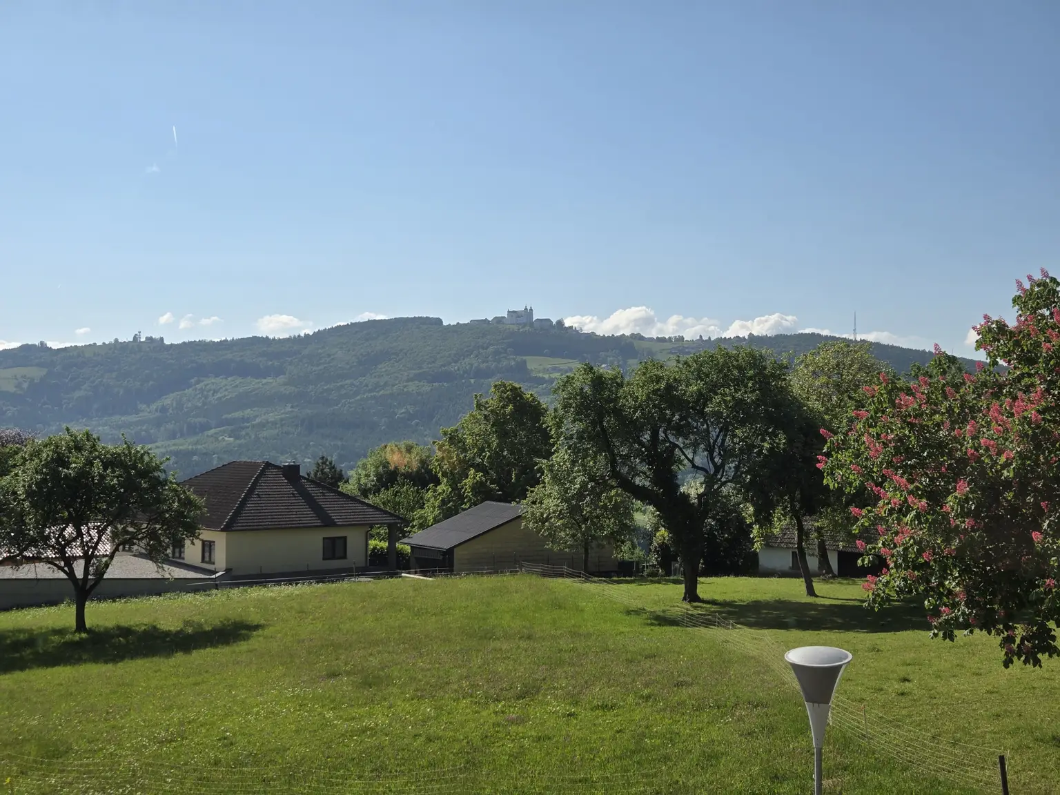 Ausblick ins Grüne