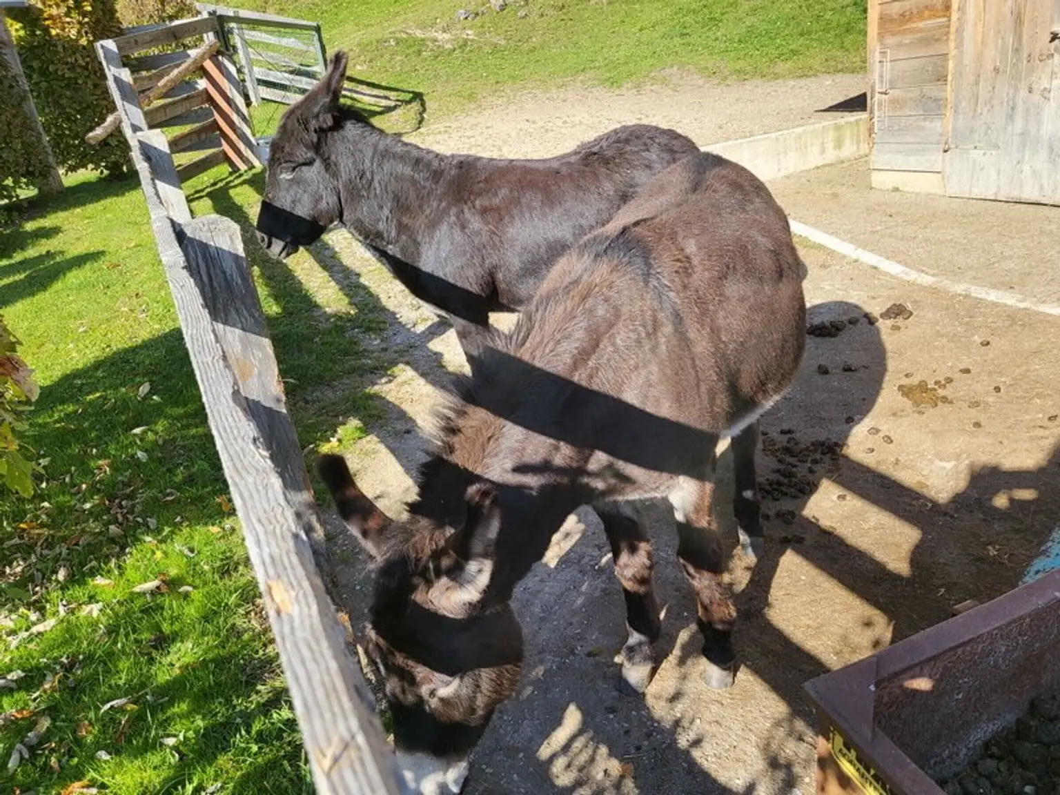 Renaissance-Schloss auf 15 ha Grund – seltene Gelegenheit für touristische Nutzung oder Family Office