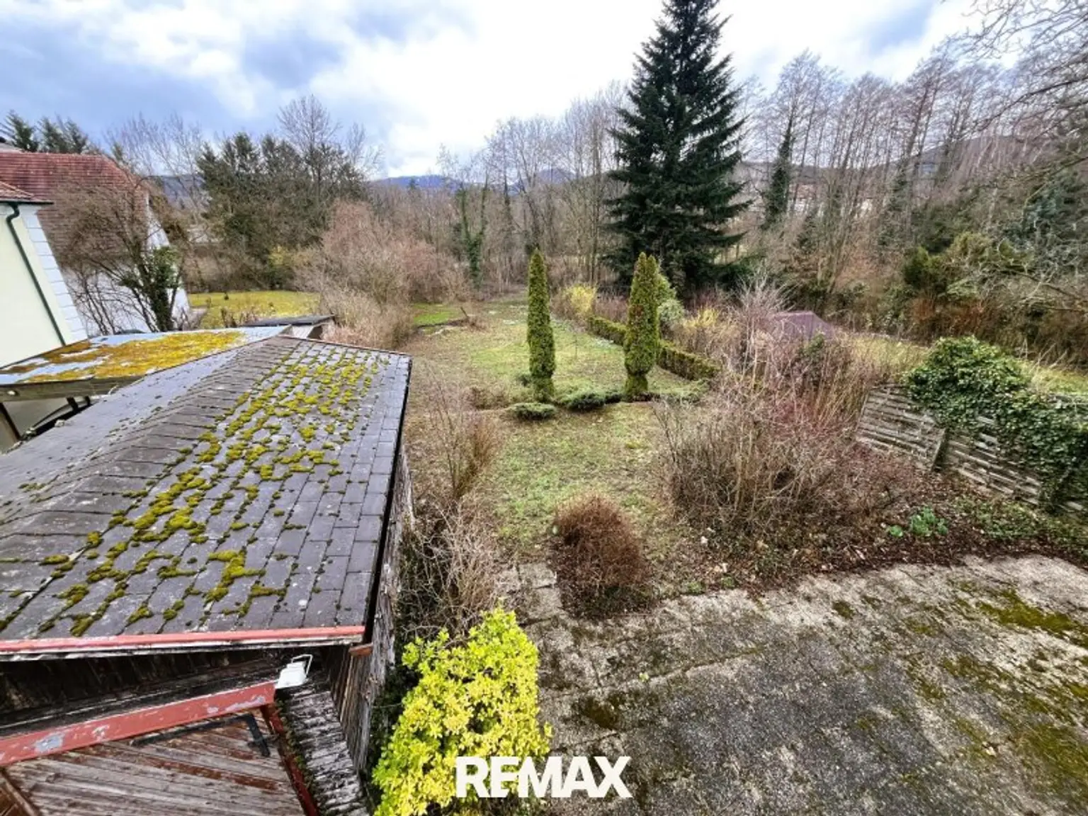 Blick in den Garten