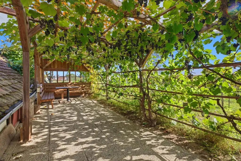 Weinkultur erleben im Ort für Genießer – Weinkeller, Presshaus & Weingarten vereint