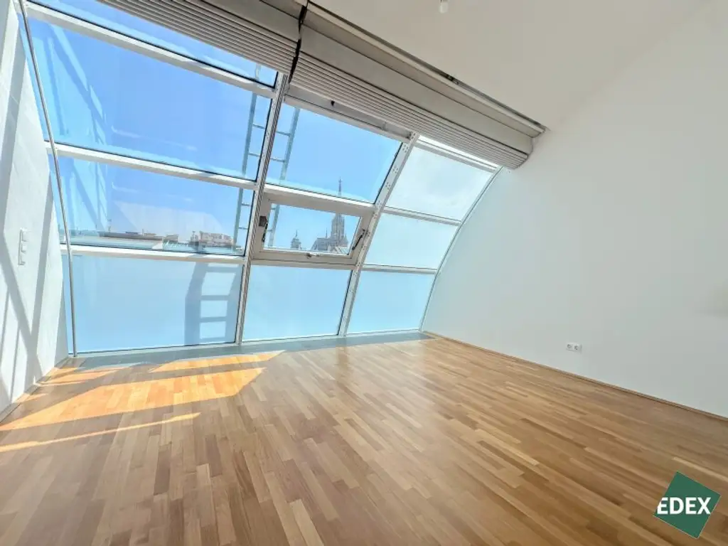 Exklusive Innenstadt-Maisonette mit Glasfront, Freiflächen & Stephansdom-Blick