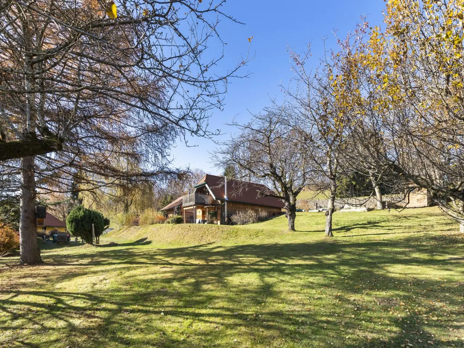 Gepflegter Garten mit Baumbestand