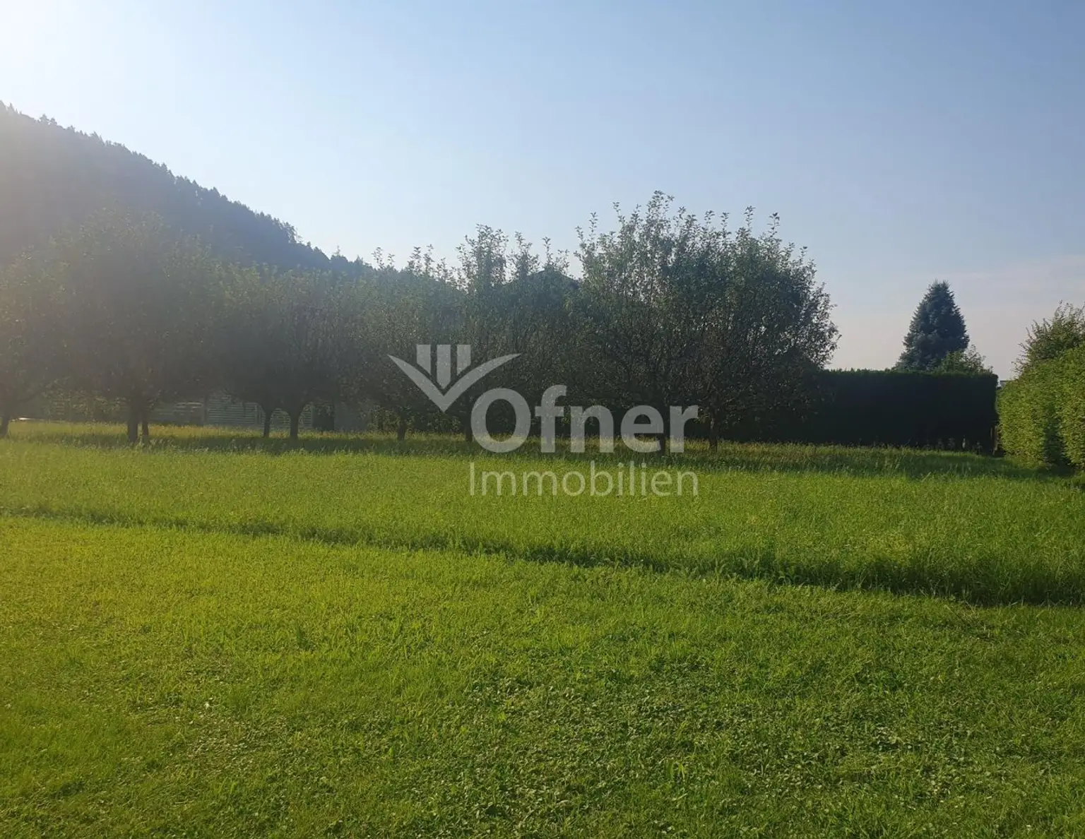 Baugrundstück mit Freiland in ruhiger Stadtrandlage