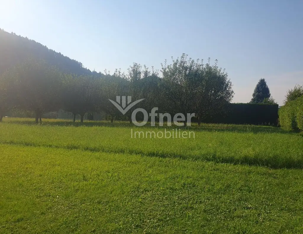 Baugrundstück mit Freiland in ruhiger Stadtrandlage