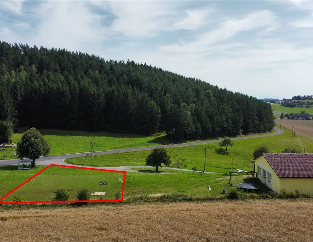Traumhaftes Baugrundstück: 982m² für Ihr Eigenheim / Gewerbe in Gutauer Naturlage ohne Bauzwang