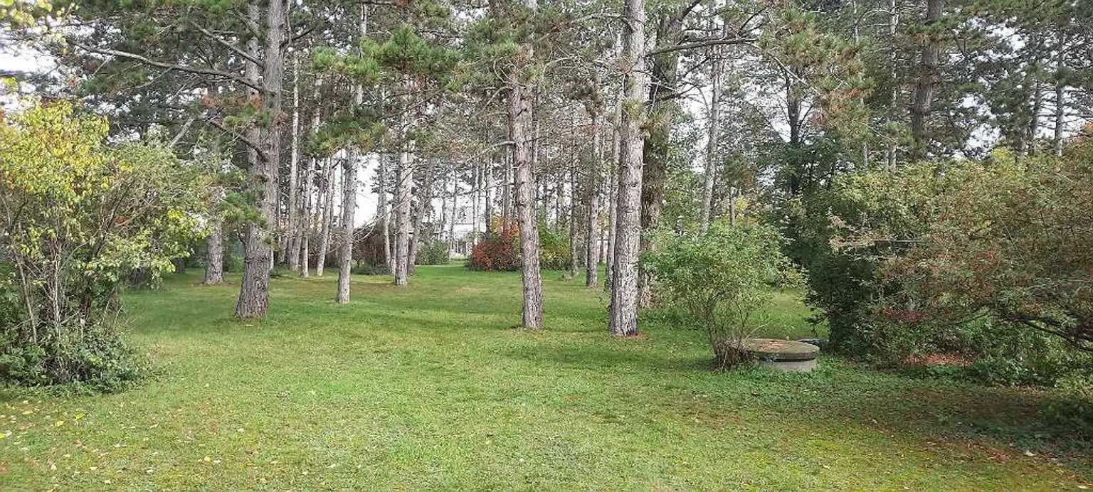 Grundstück mit Altbaumbestand