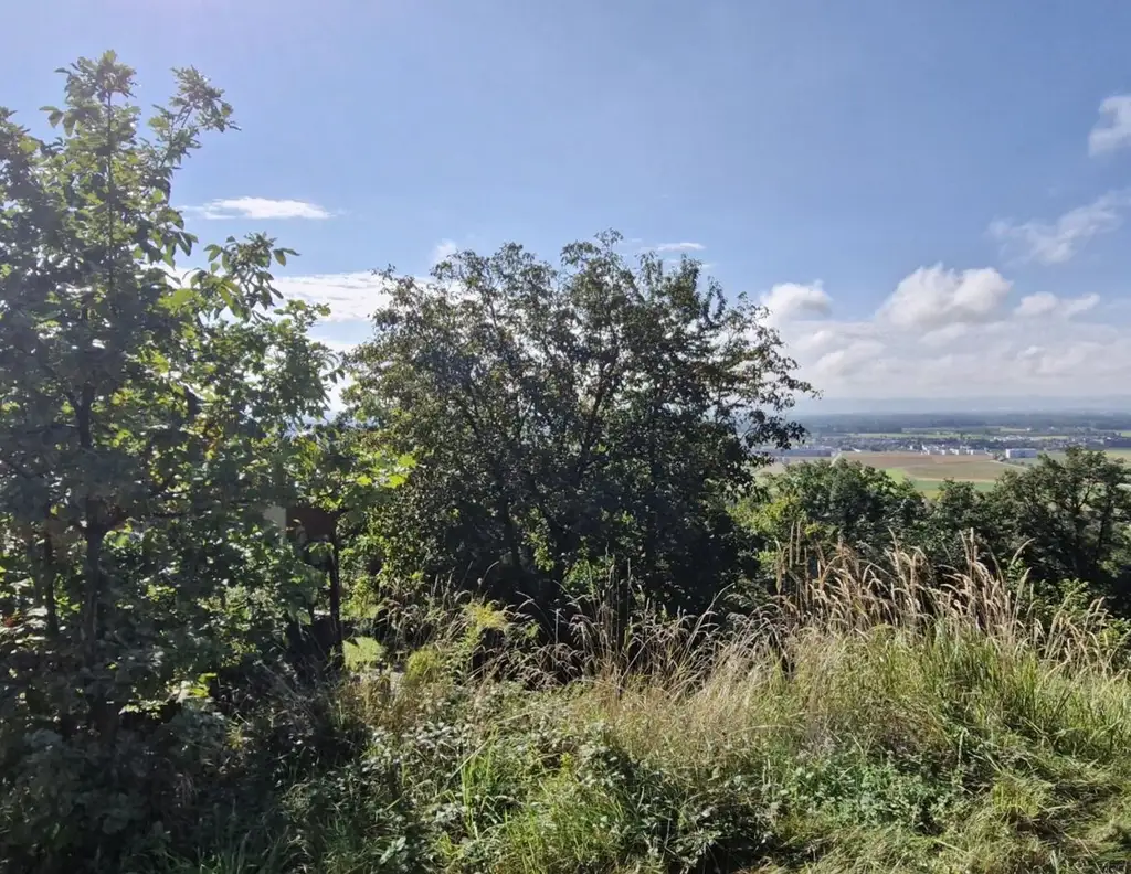 Wohnen mit Weitblick - Sechterberg 85, Feldkirchen an der Donau