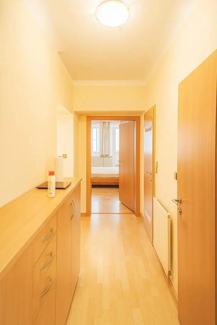Vorzimmer Wohnung 1020 Wien