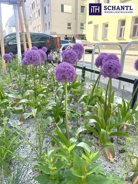Ihr neues Zuhause im Supergrätzl: Klein, aber oho – Jetzt verwandeln!