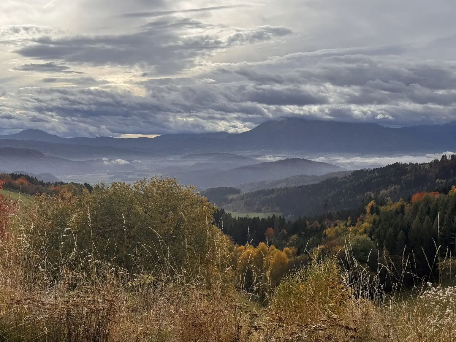 Gästehaus mit 9 Zimmern, privater Wohnung, Restaurant inklusive moderner Gastroküche und Nebengebäude – Ihre perfekte Investitionsmöglichkeit