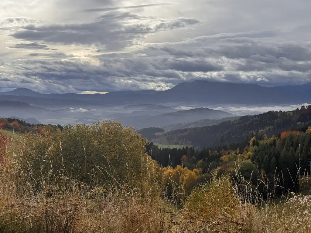 Gästehaus mit 10 Zimmern, privater Wohnung, Restaurant inklusive moderner Gastroküche und Nebengebäude – Ihre perfekte Investitionsmöglichkeit