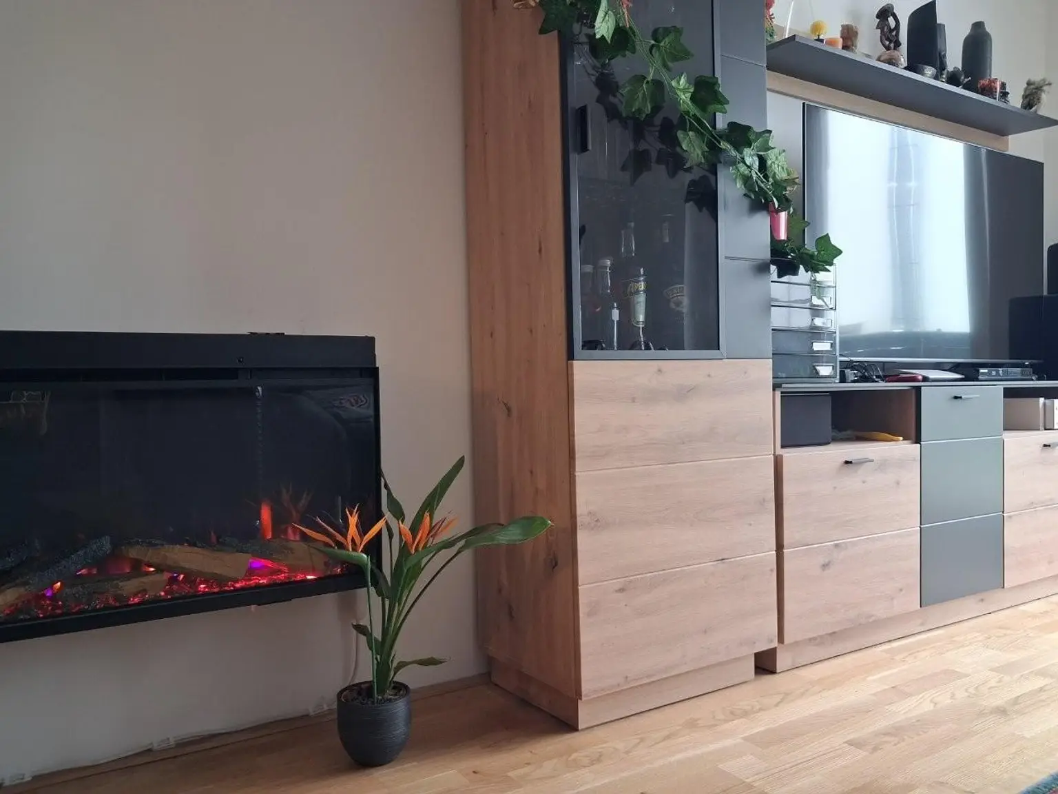 "Single-Hit! Neue vollausgestattete Garten-Wohnung mit PP nahe U1 DZ"