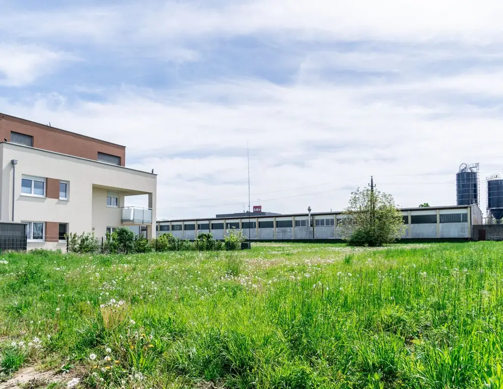 Traumhaftes Eigenheim: Großes Grundstück in Top-Lage in Ansfelden