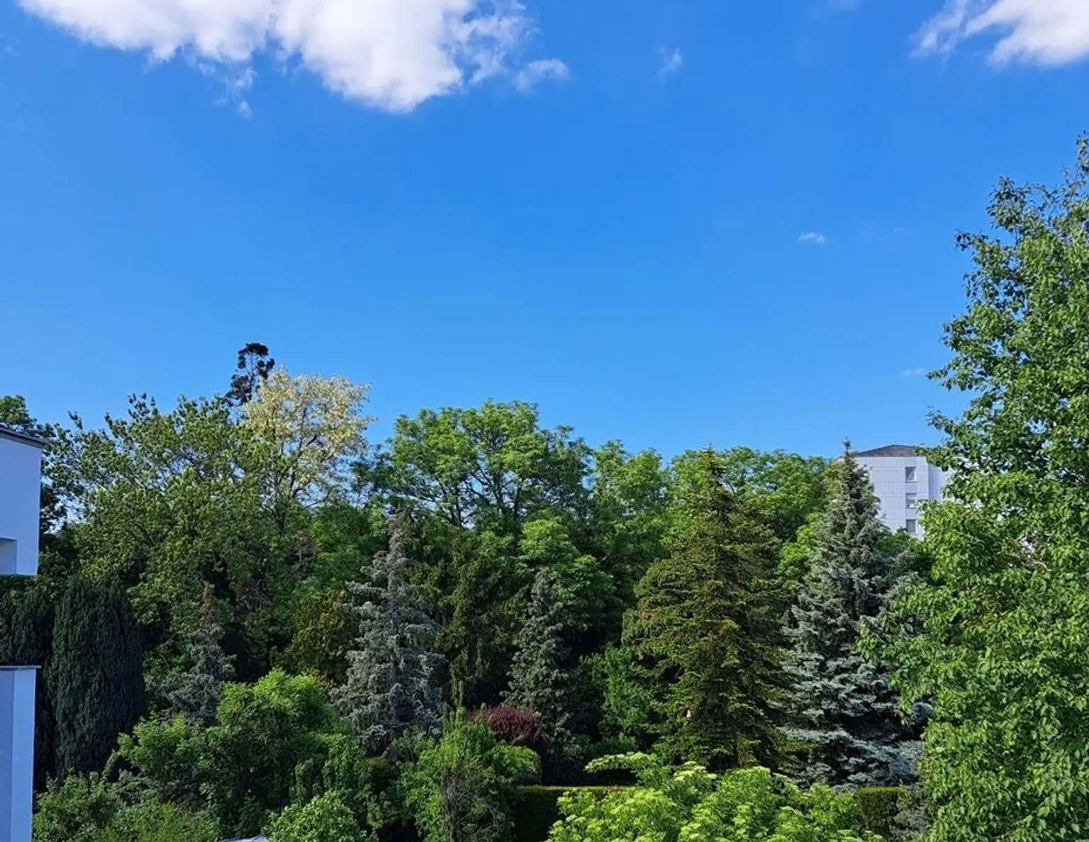 Einzigartige Top 4 1/2 Zimmer Wohnung mit Wintergarten-Speisezimmer und Loggia in Baden - Nähe Schloss Leesdorf in Grünruhelage