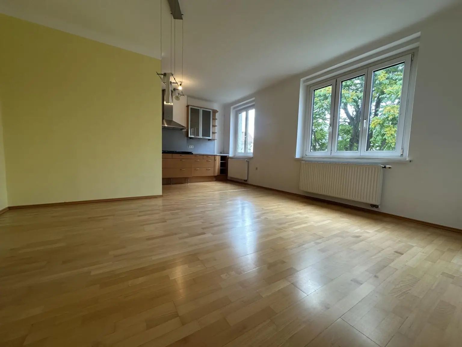 Wohnesszimmer