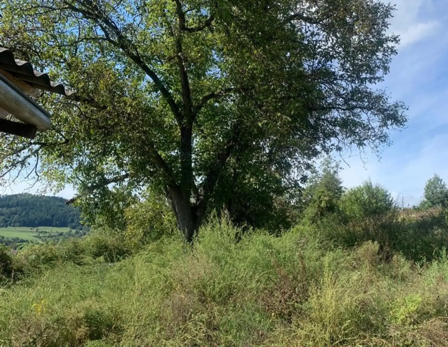St Veit / St Donat : 2,7 Ha Land- und Forstw. -Grundstück mit Widmungpotenzial , zzt Pferde Weide mit Stall & Quelle, in traumhafter Lage in Kärnten - für 349.000,00 € zu haben!