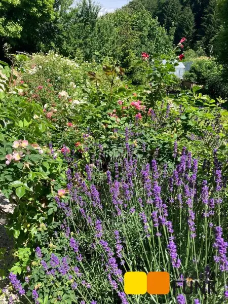 Großzügiges Haus mit Traumgarten