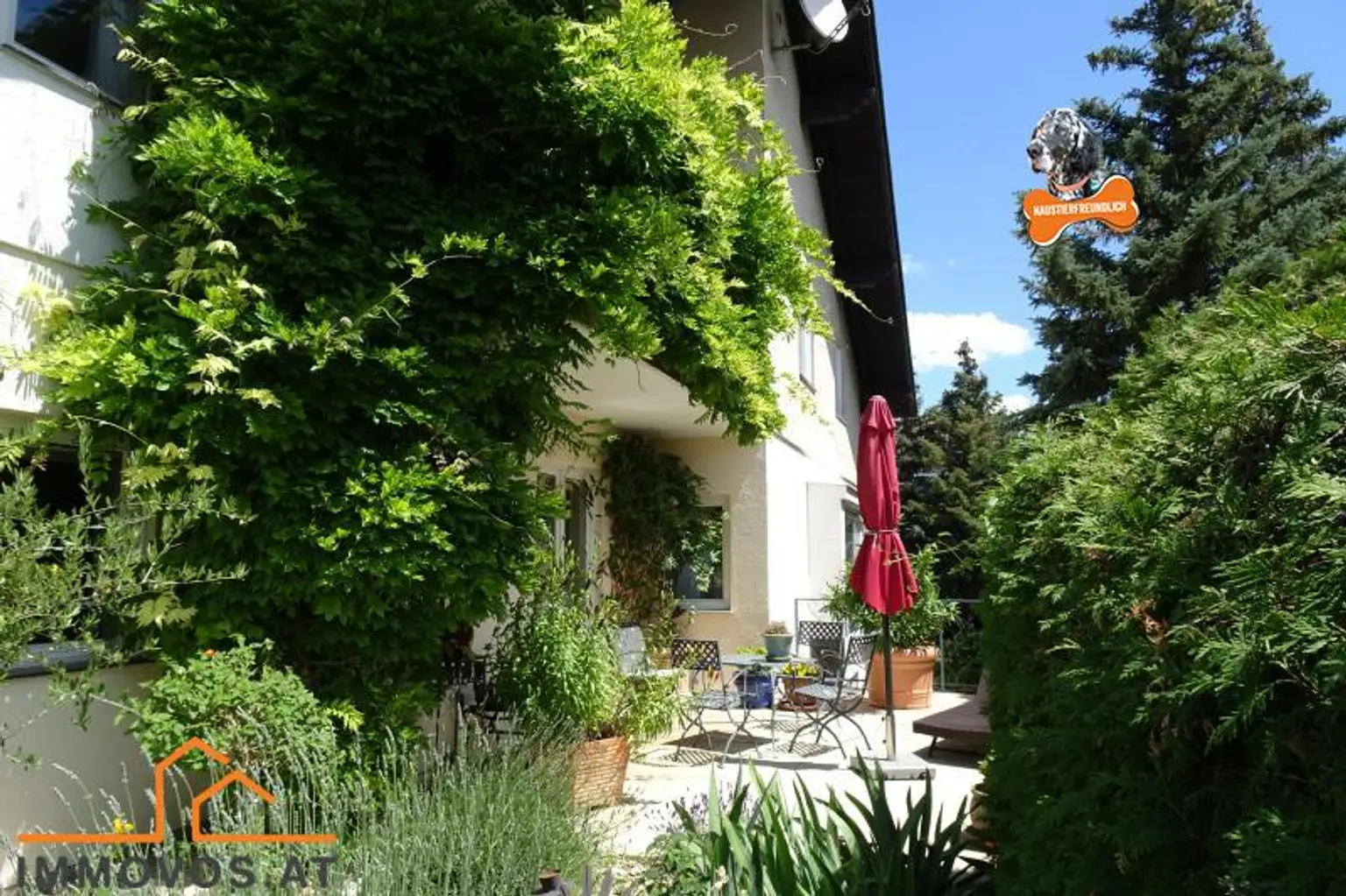 Seitlicher Garten mit seitlicher Hausansicht