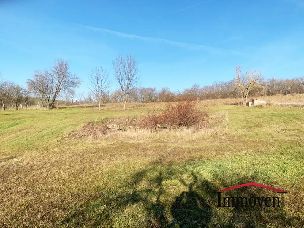 EINMALIGE GELEGENHEIT - Großes sonniges Grundstück und 2 große Ackerflächen!