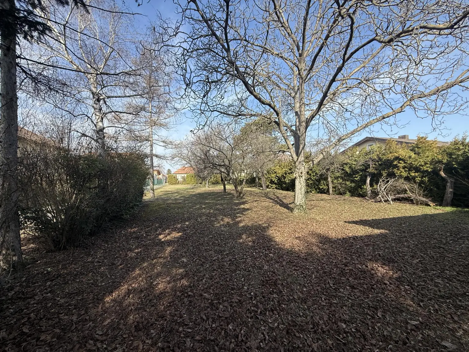 Hinterer Grundstücksteil