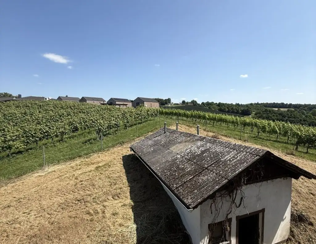 Exklusive Alleinlage zwischen Weinreben und Golfplatz in Stegersbach