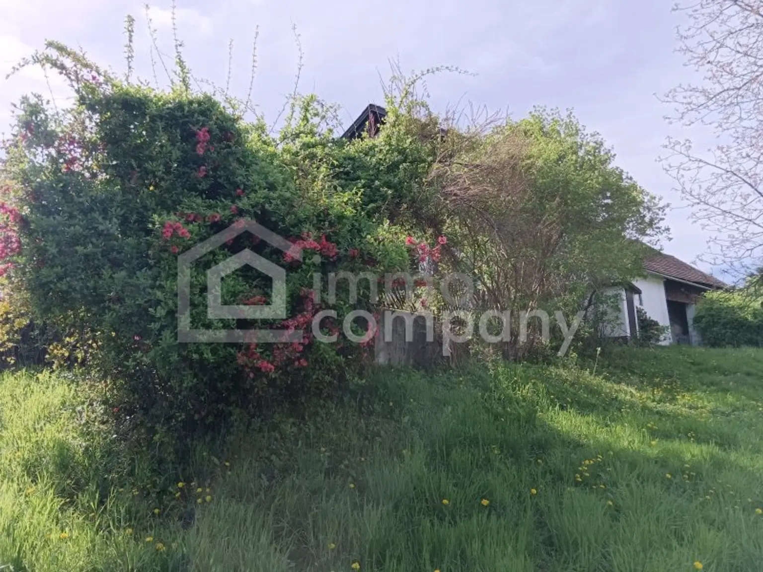 Am beliebten Rosenberg!  Altes Bauernhaus in unverbaubarer, ruhiger, sonniger Lage mit  großem Baulandgrundstück